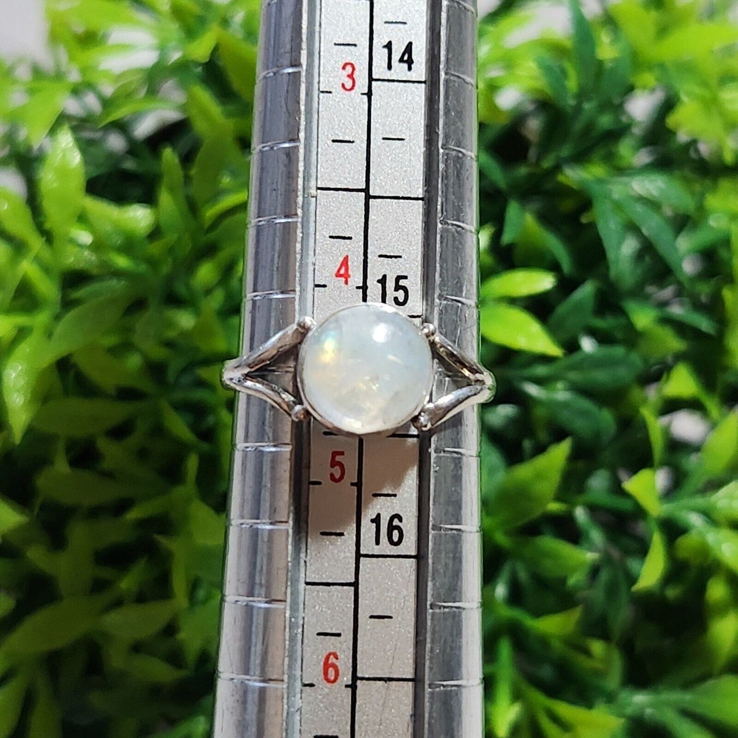 925 Sterling Silver Moonstone Ring