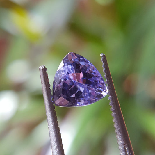 Tanzanite - 1.09ct Trilliant Gemstone